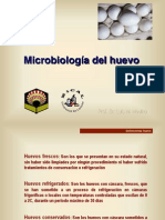 microbiologia_huevo