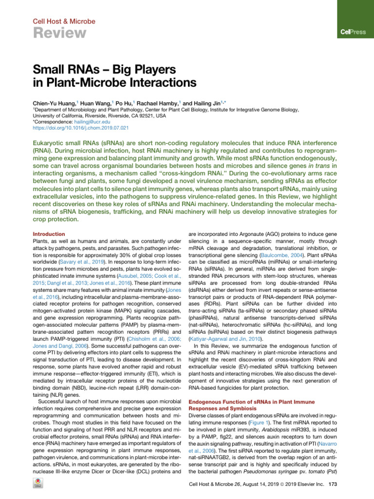 Small RNAs - Big Playersin Plant-Microbe Interactions | PDF | Rna ...
