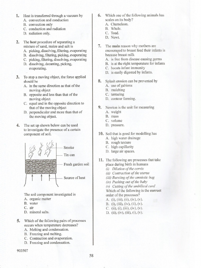 Science Q | PDF