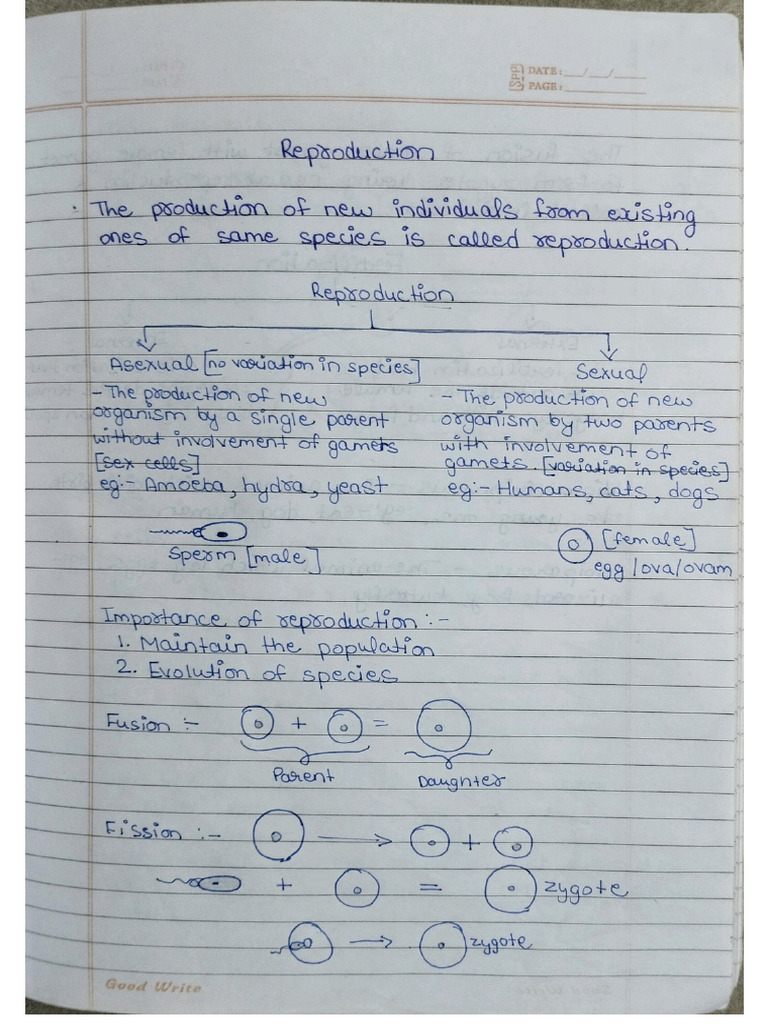 Reproduction | PDF