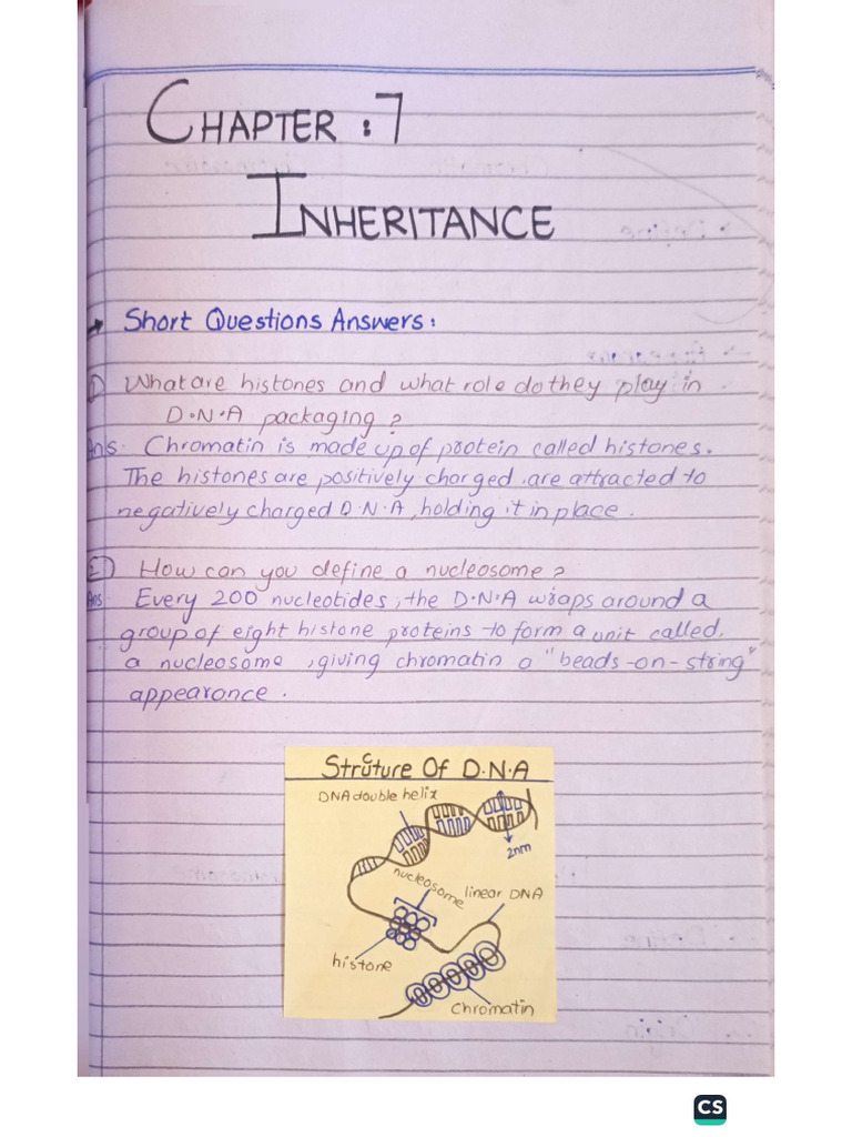 Unit#7 Inheritance | PDF