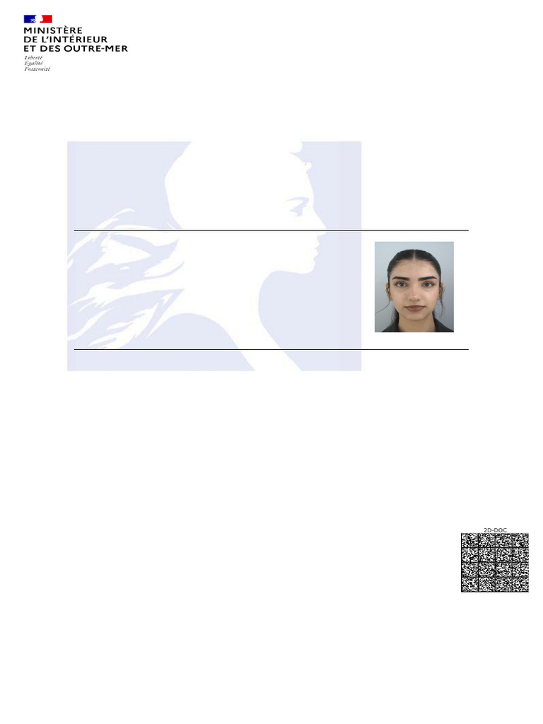 Confirmation de demande DCEM mineur | PDF