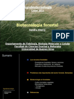 Clase 22 Biotecnologia Forestal 2011
