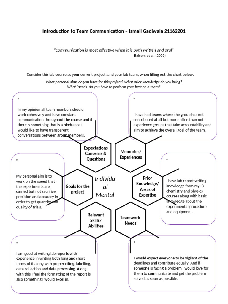Effective Team Communication Strategies | PDF | Knowledge | Communication