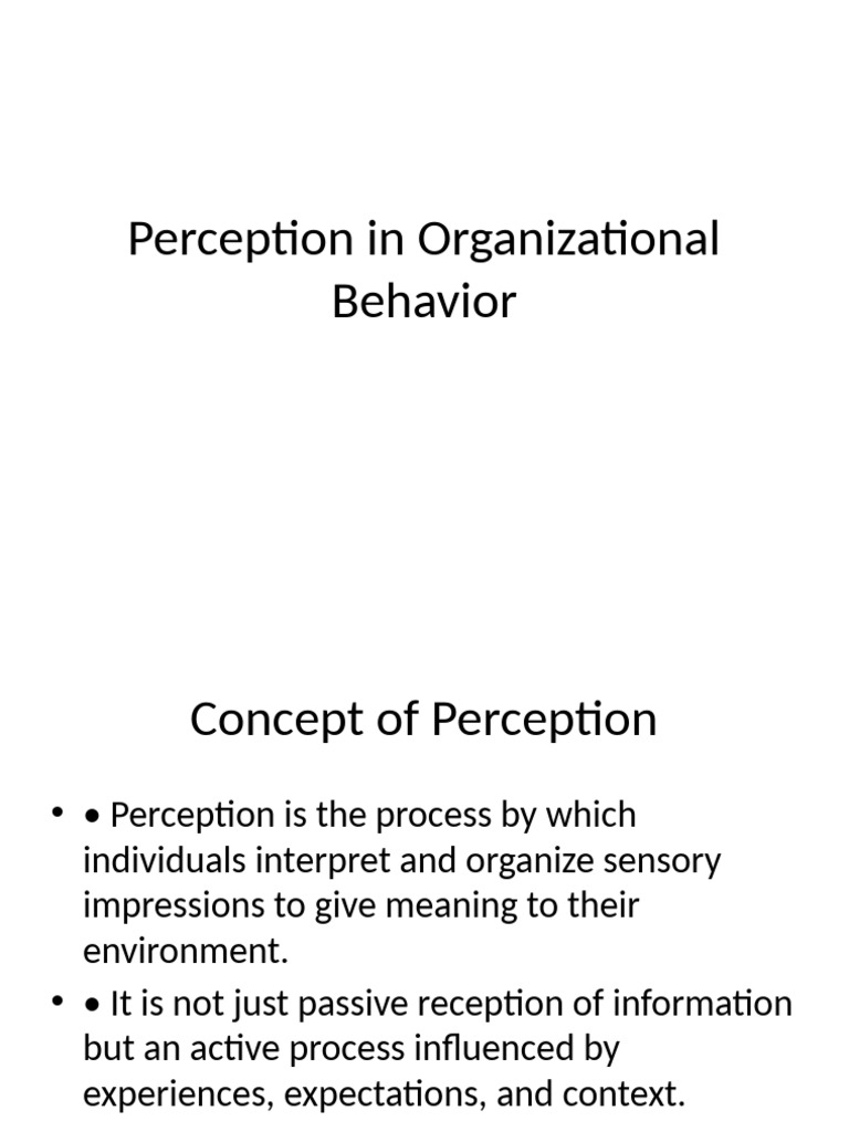 Perception PPT Notes | PDF