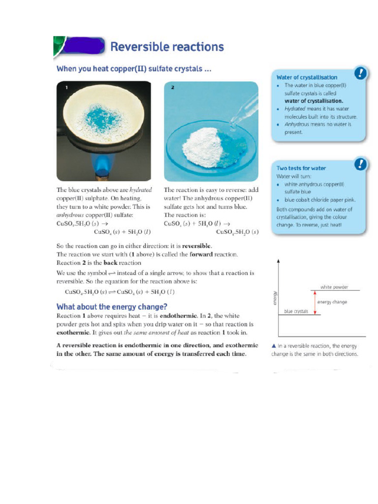 Reversible Reactions - Reading 1 | PDF