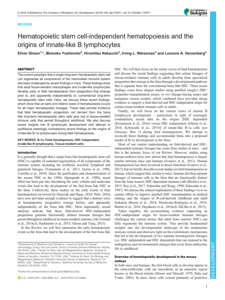 Dev 170571 | PDF | Hematopoietic Stem Cell | Haematopoiesis