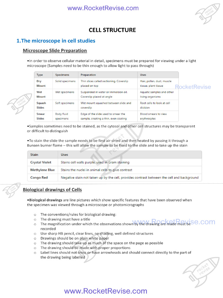 Cell Structure | PDF