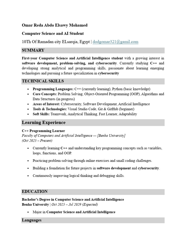 Computer Science & AI Student Profile | PDF