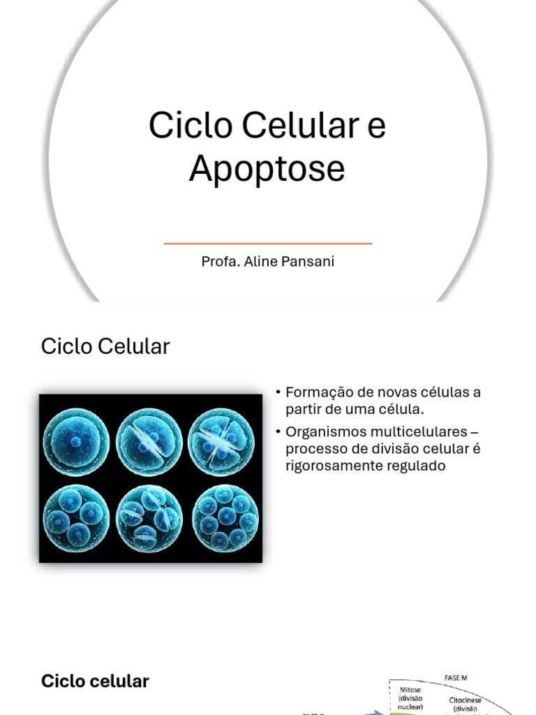 Ciclo Celular e Apoptose: Mecanismos e Controle | PDF | Apoptose ...