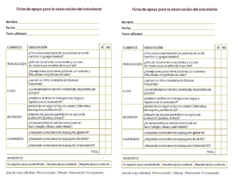 Ficha de Apoyo para Observaciã N Estudiante SECTI | PDF