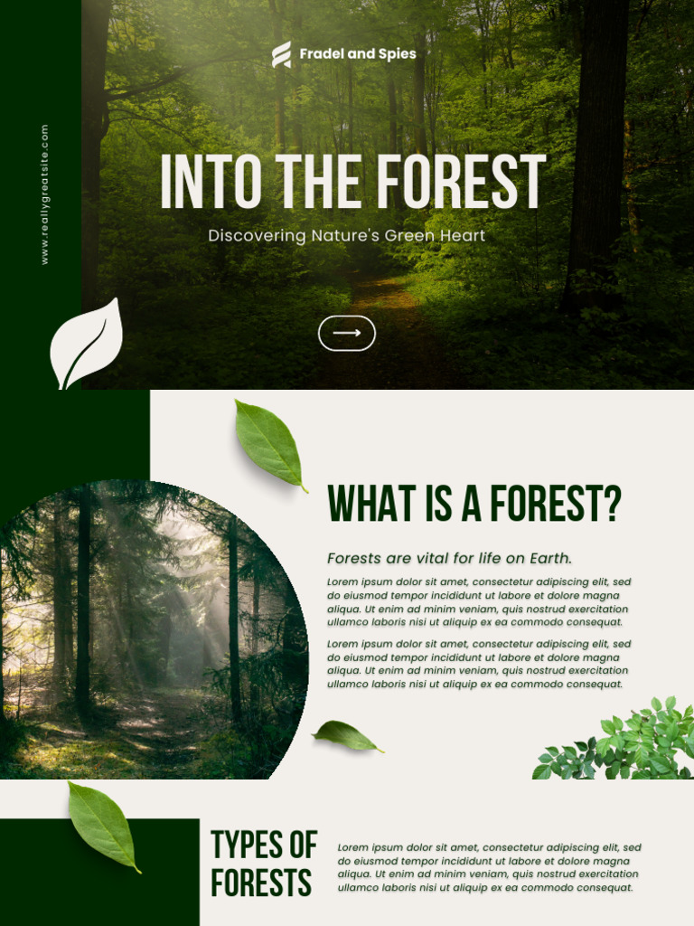 Importance of Forests and Conservation | PDF | Forests | Environmental ...