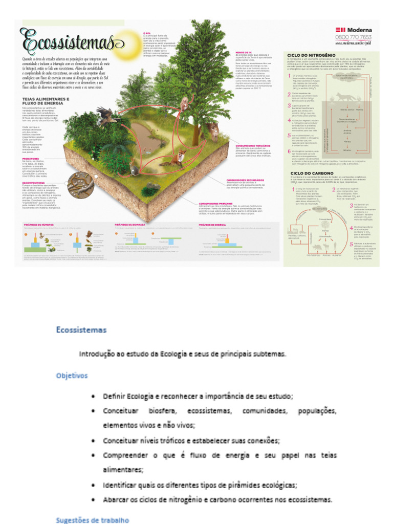 Biologia Ecossistemas | PDF | Ecossistema | Ecologia