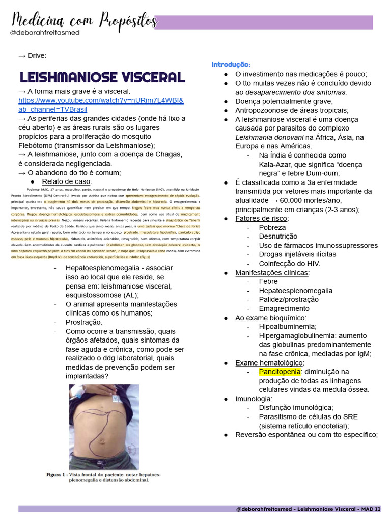 Leishmaniose Visceral: Causas e Sintomas | PDF | Leishmania ...