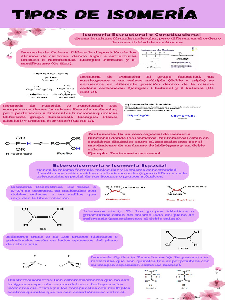 Tipos de Isomería en Química Orgánica | PDF | Isómero | Química Inorgánica