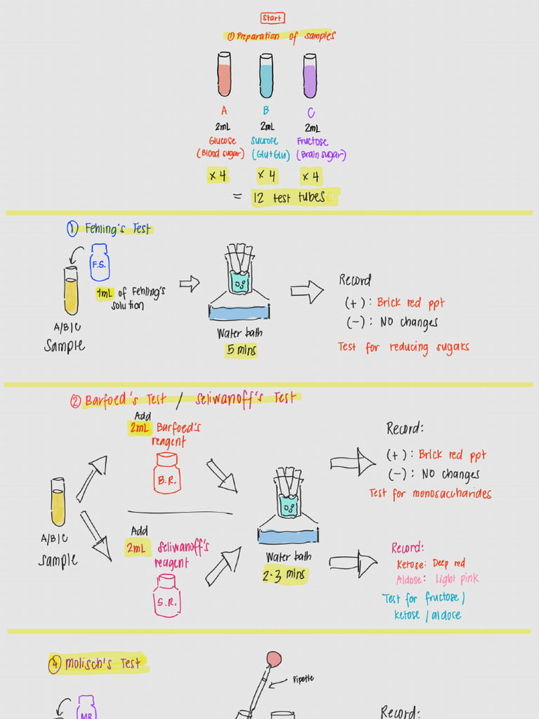Bio Lab Exam Notes | PDF