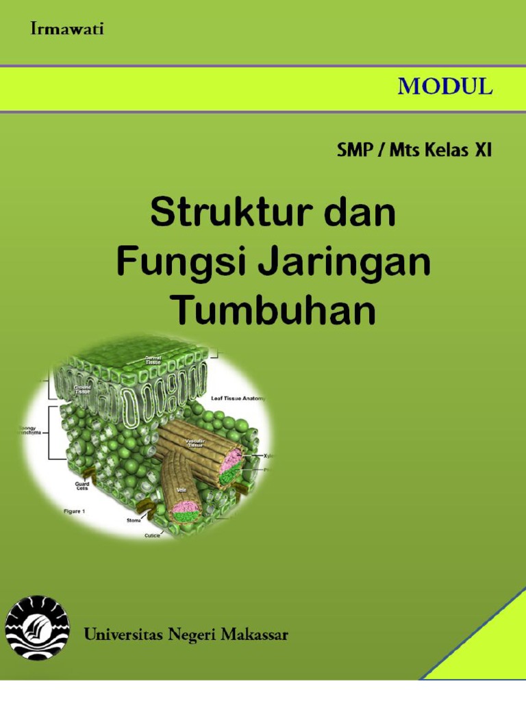 MODUL Struktur Tumbuhan 