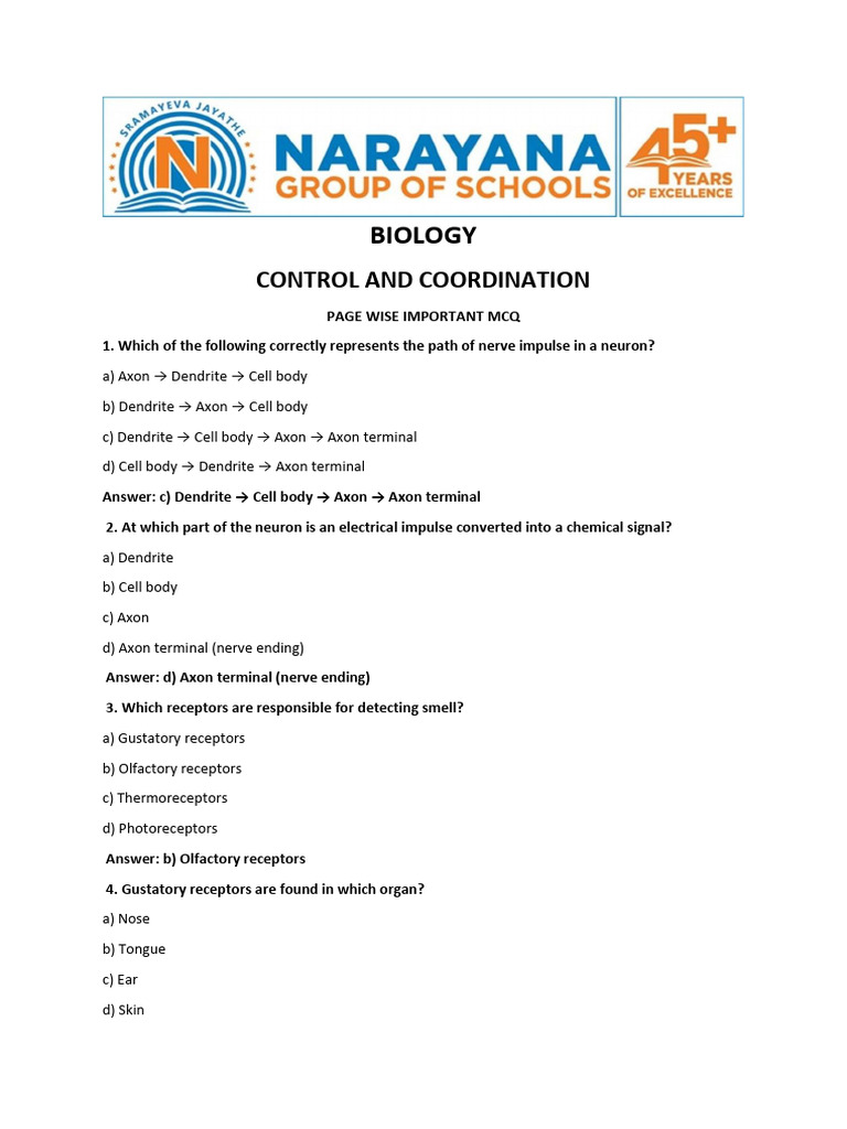 Biology Control and Coordination MCQs | PDF | Plant Hormone | Brain