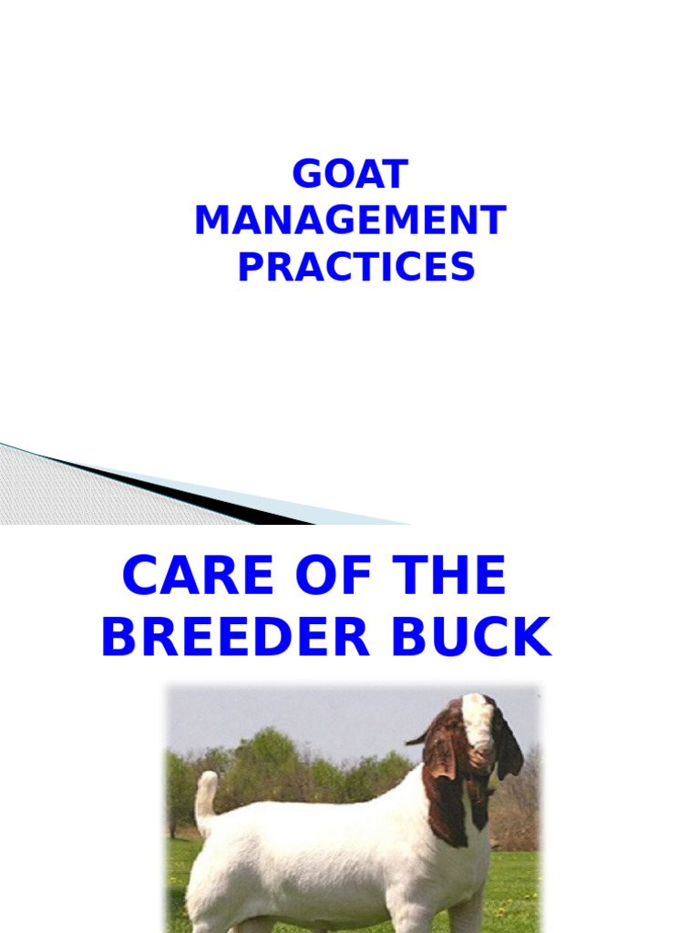 Goat Breeding and Management Guide | PDF | Goat | Weaning