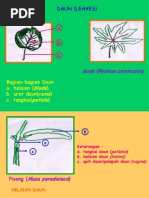 Download MORFOLOGI DAUN by Guido Djaep Purba SN94172430 doc pdf