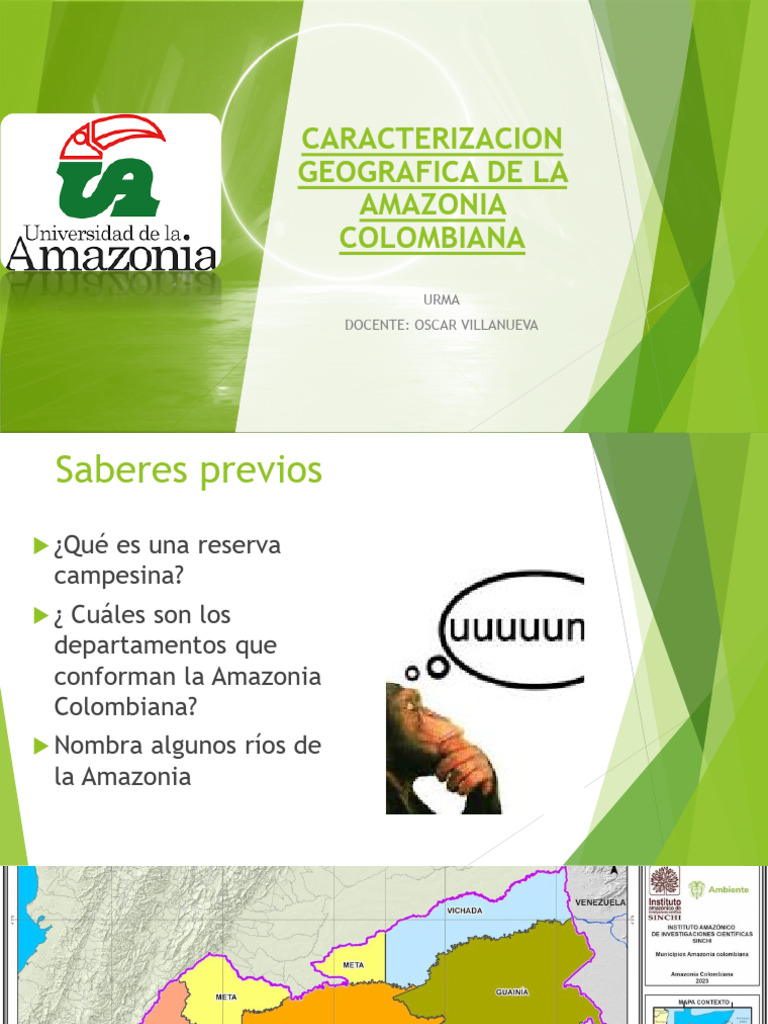 Caracterización de la Amazonia Colombiana | PDF | Selva amazónica ...