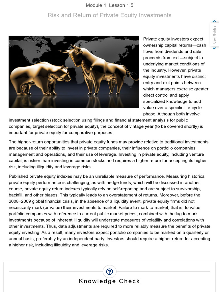 Understanding Private Equity Risks and Returns | PDF | Private Equity ...