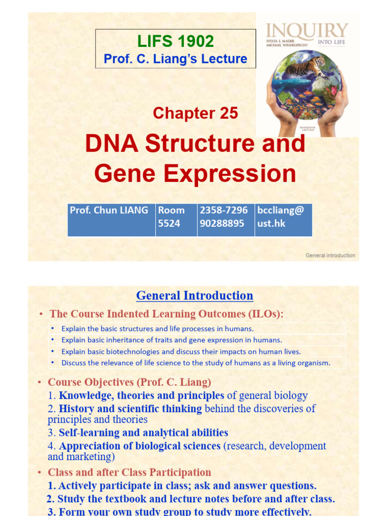 DNA Structure and Gene Expression Overview | PDF | Dna Replication ...
