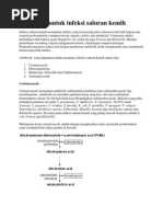 Download Antibiotik Untuk Infeksi Saluran by Qey Christopher SN94173931 doc pdf