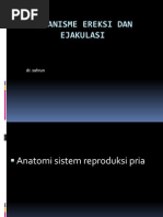Download Mekanisme Ereksi Dan Ejakulasi Dr Sahrun by Cahrun Carter SN94174794 doc pdf
