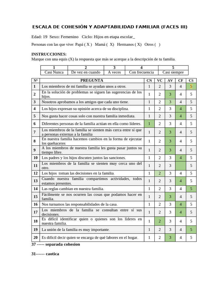 Evaluación de Cohesión Familiar FACES III | PDF