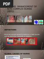 Flamazine® Cream for Burn Care | PDF | Wound | Dermatitis