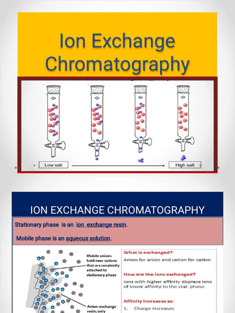 Ion Exchange Chromatography Overview | PDF | Chromatography | Ion Exchange