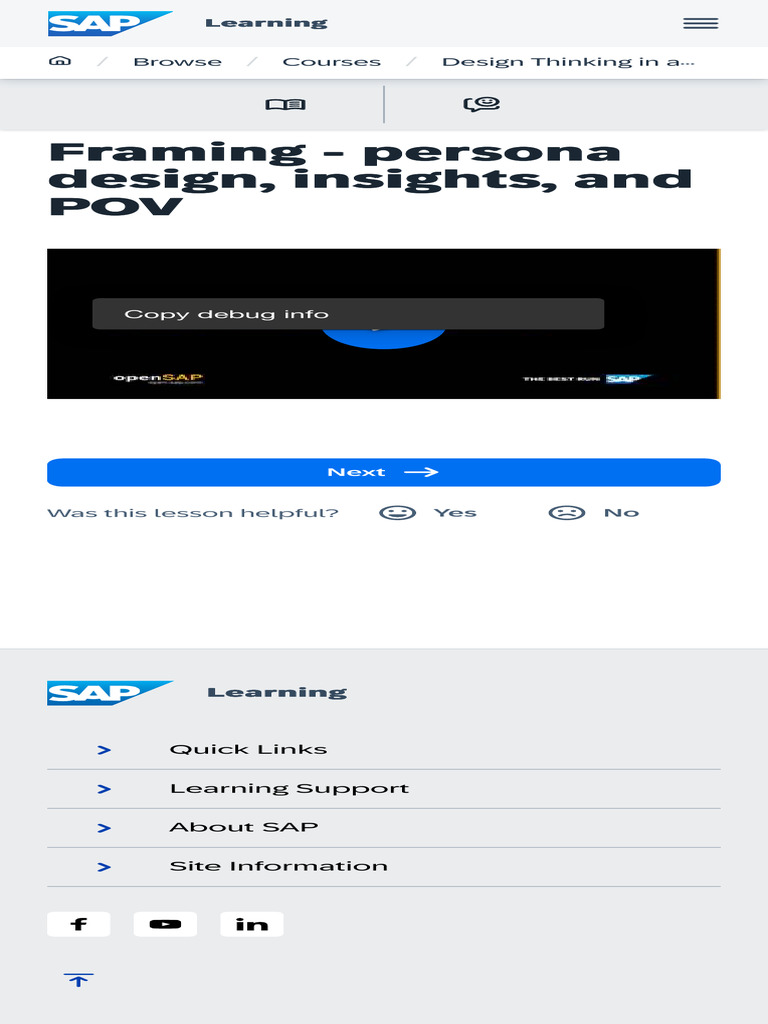 Framing - Persona Design, Insights, and POV | PDF
