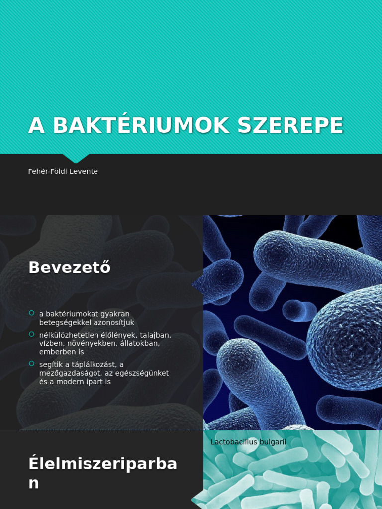 A Bakt riumok Szerepe PDF