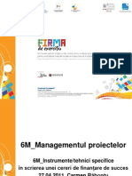 6M_Instrumente Specifice de Managementul Proiectelor