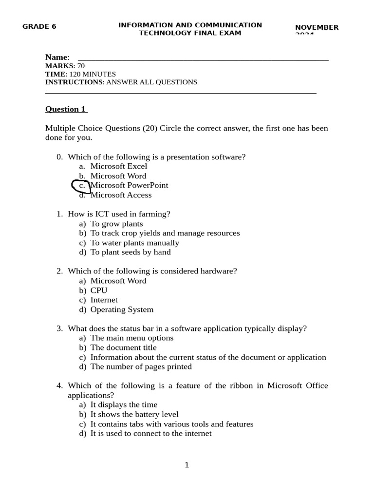 Grade 6 Final Exam | PDF | Spreadsheet | Computer Program