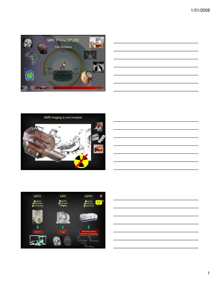 MRI Principles and Techniques | PDF