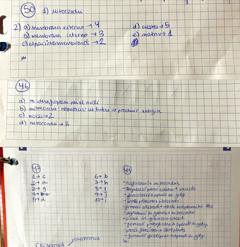 17-3-25 21:18 Microsoft Lens | PDF