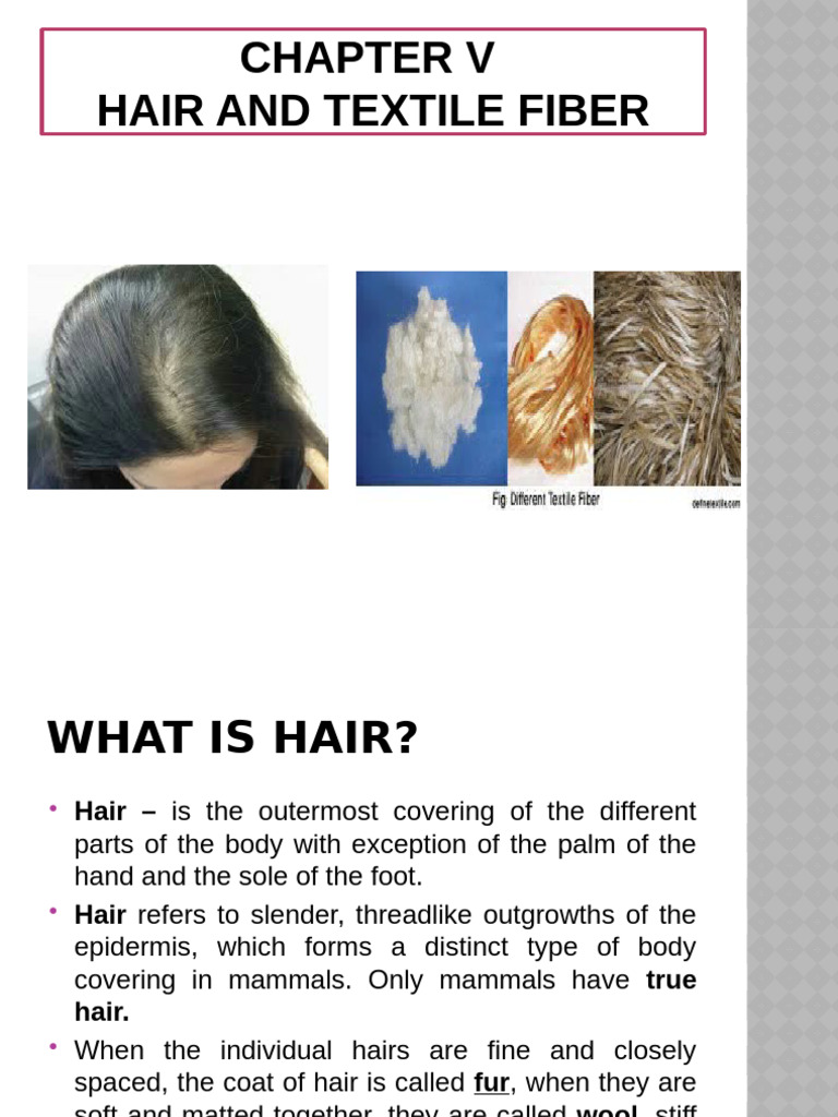 Forensic Analysis of Hair Structure | PDF | Hair | Textiles