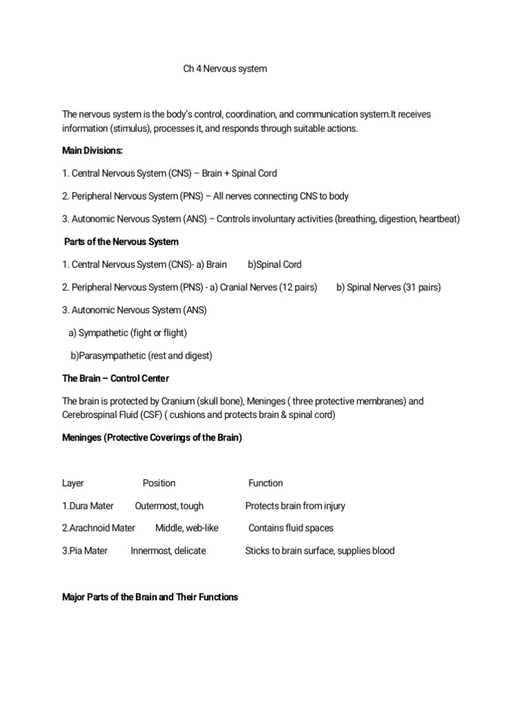 Main Divisions | PDF | Central Nervous System | Autonomic Nervous System