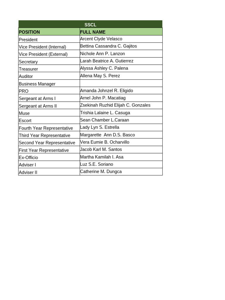 Student Organization Leadership Roles | PDF | Presidencies