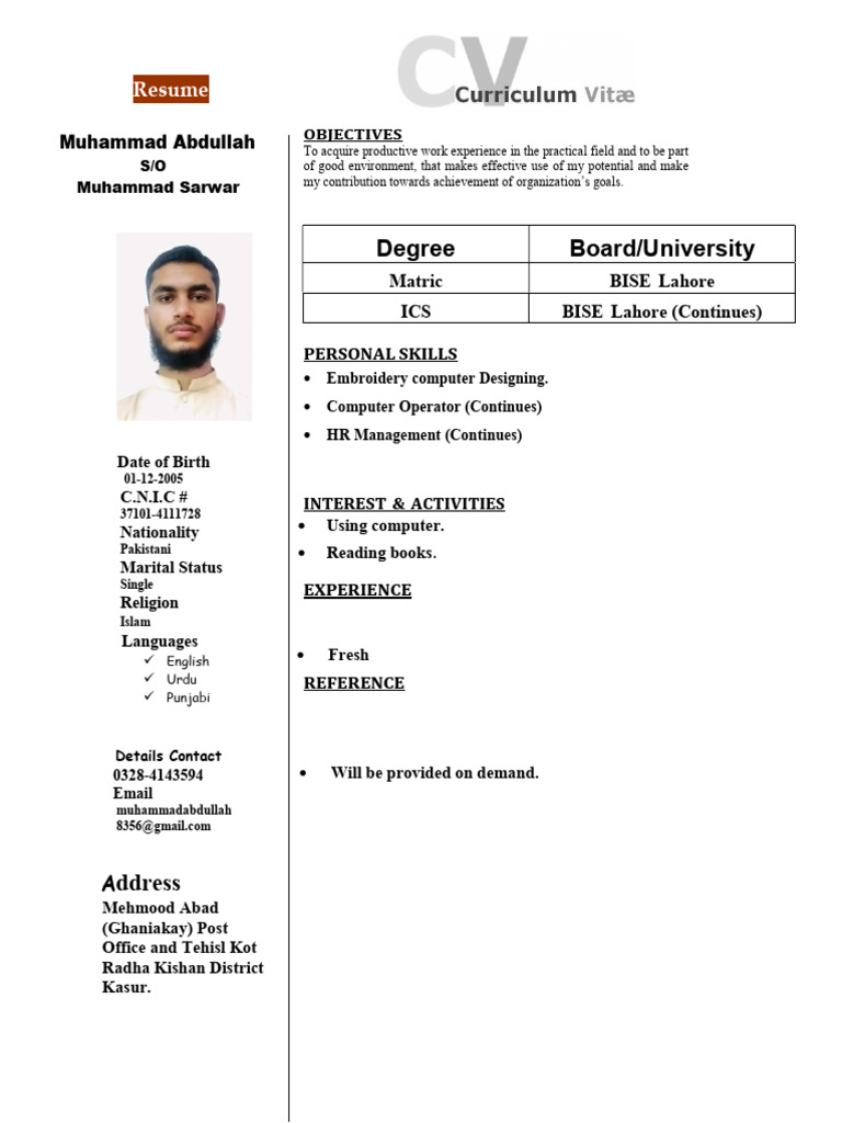 CV 1 | PDF