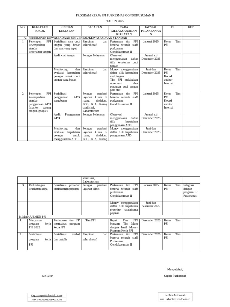Program Kerja PPI Puskesmas 2025 | PDF