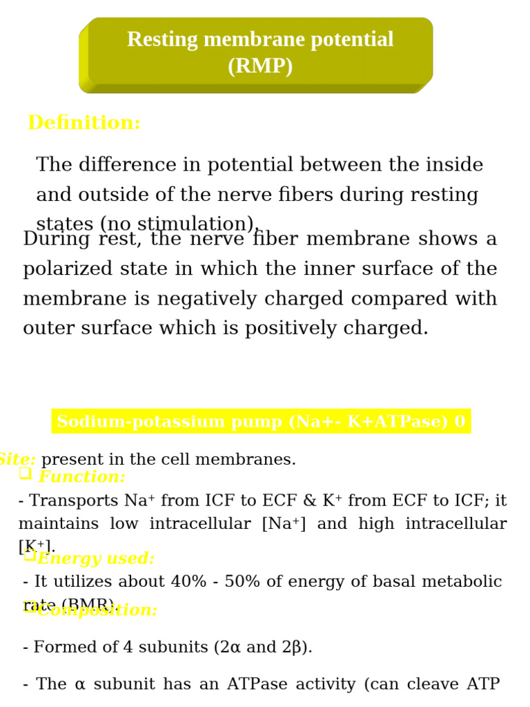 Understanding Resting Membrane Potential | PDF | Action Potential ...