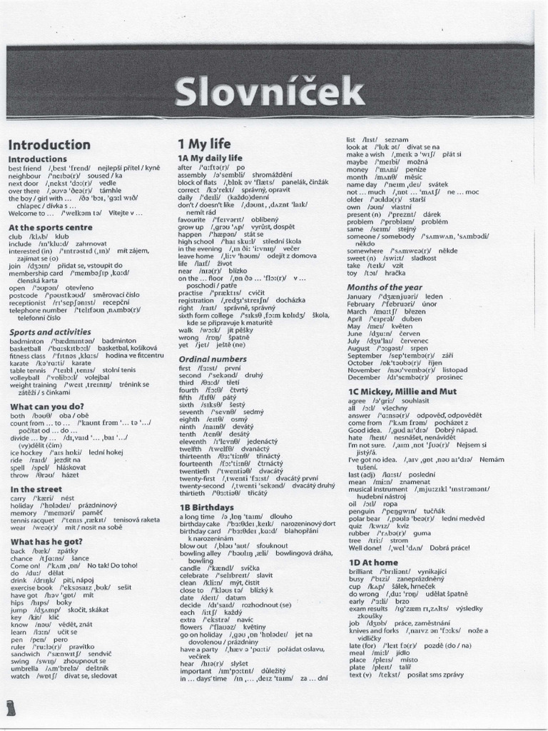 6 Ab Slovnicek Project 2 | PDF