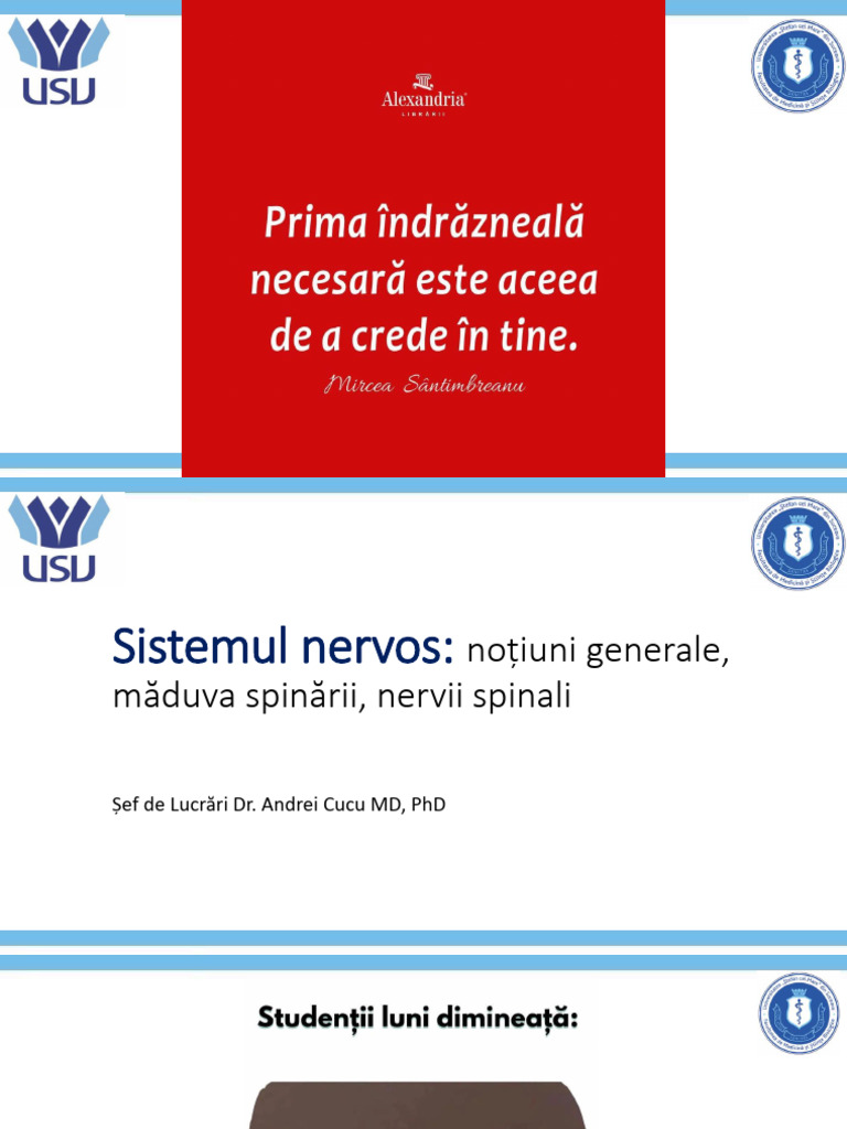 LP. 14. 2025-2026. Sistemul Nervos. M-duva Spin-rii. Conforma-ia ...