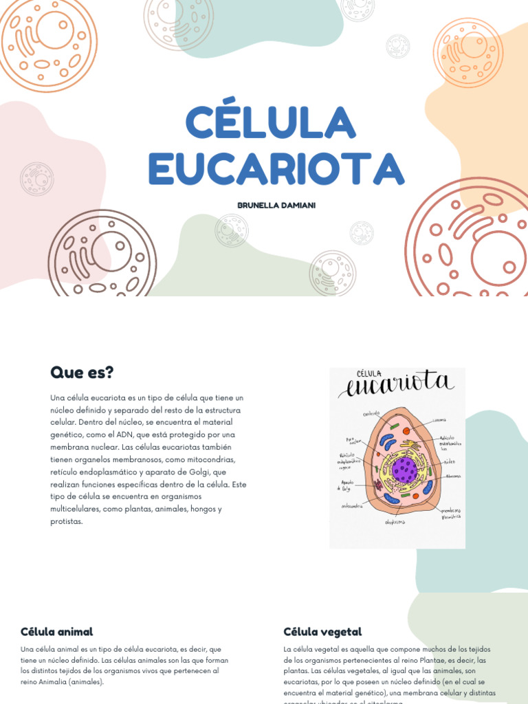 Estructura y funciones de células eucariotas | PDF | Biología Celular ...