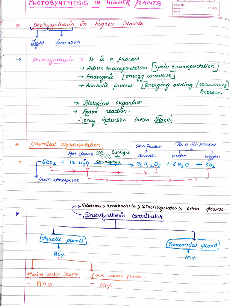 Notes Photosynthesis 11th | PDF