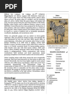 Zebra Taxonomy and Classification Overview | PDF | Zebra | Equus (Genus)