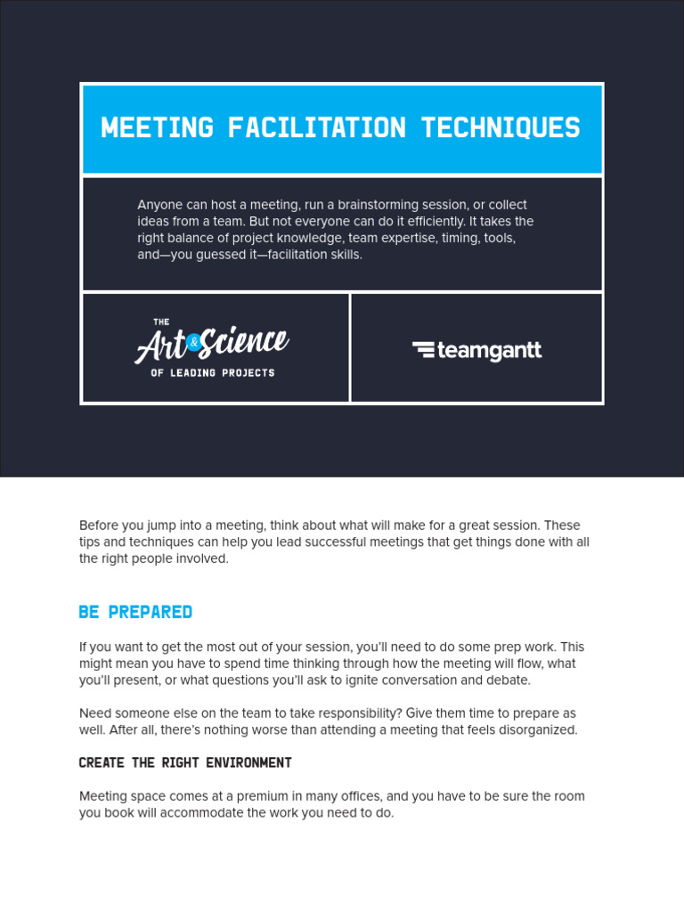 Effective Meeting Facilitation Tips | PDF | Brainstorming | Human ...